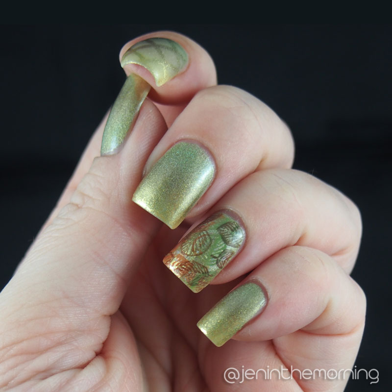 #npclairestelle8 - Leaves of Fall